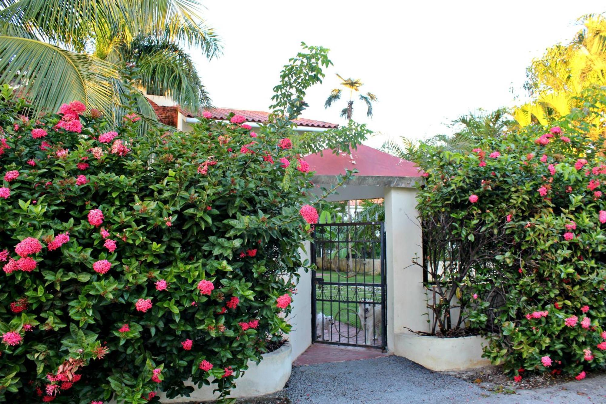 Sweet Home Punta Cana Guest House - Villa Q15A Ngoại thất bức ảnh
